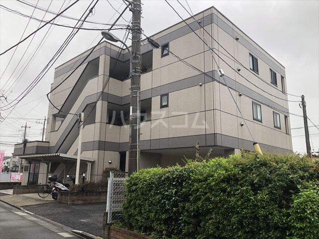 サンフィットイシイ