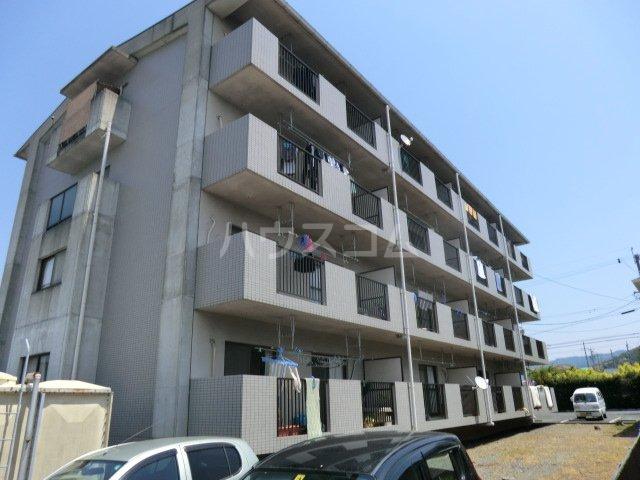 フィオーレ田中
