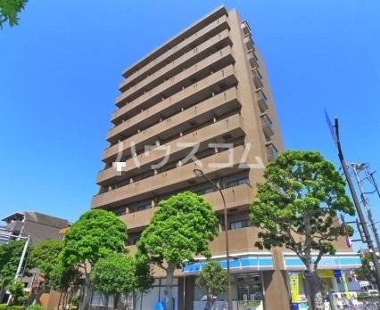 サンフラワー第6