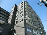 ピジョン田園