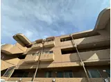 ヴェルベデーレ陸前