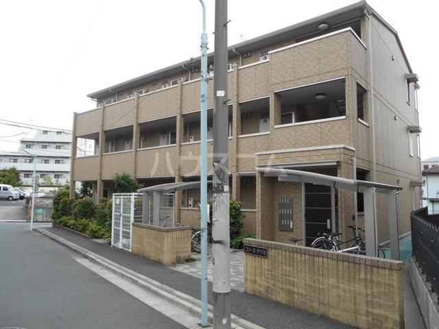 コリーヌタツミ