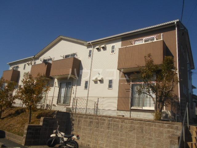 MICCHY´S Ⅲ