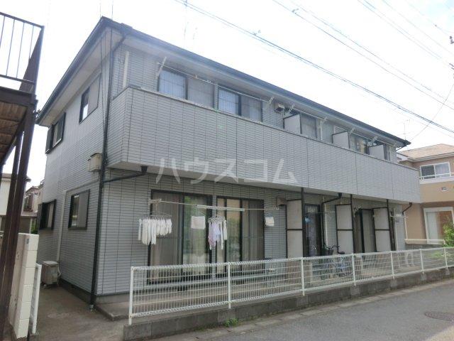 セルトⅡ