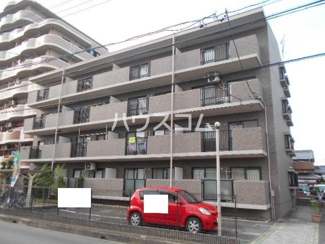 グレイシー高雄