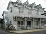 メゾンセルシオ