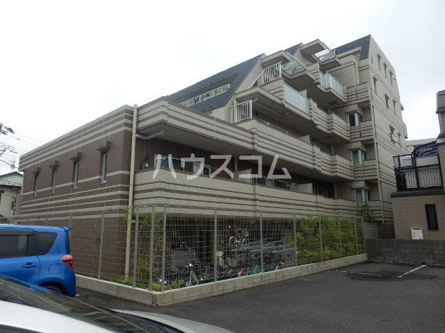 グレーシア