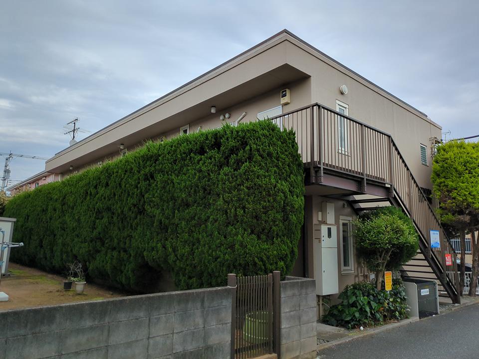 PINESHOUSE