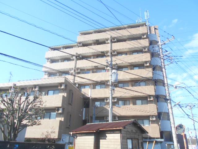 メイプルエイト