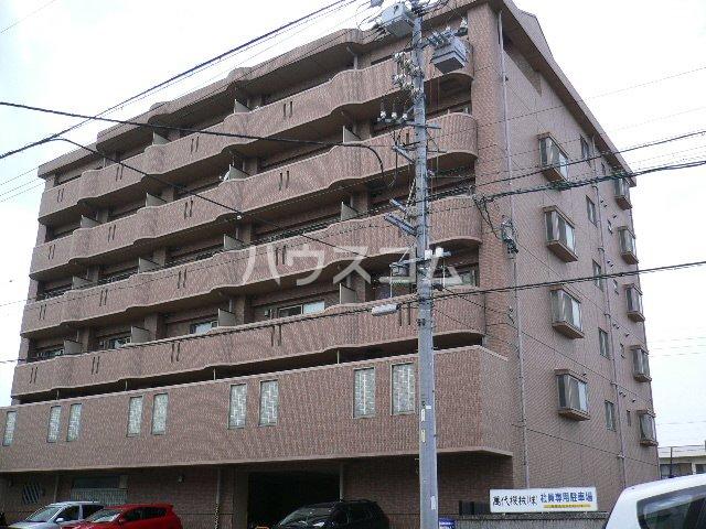 ミリオネア