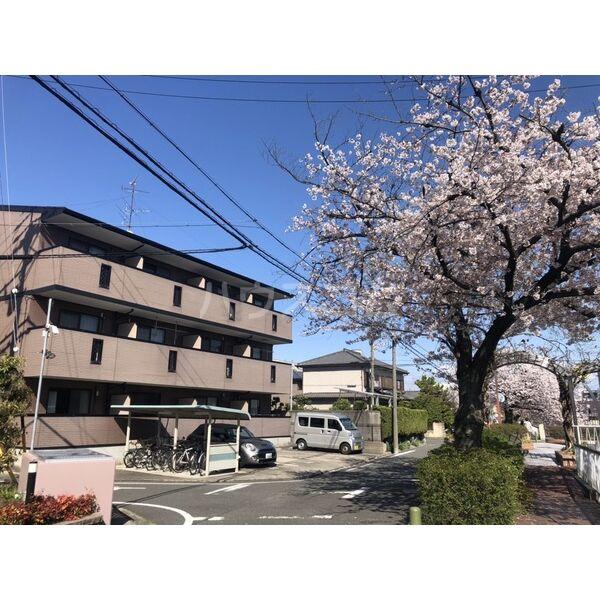 プチメゾン稲生(ワンルーム/1階)