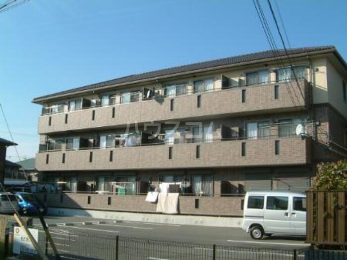 プリムローズ