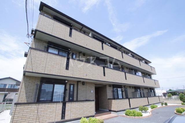 IVY TERRACE
