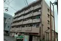 サンチェリーキタムラ