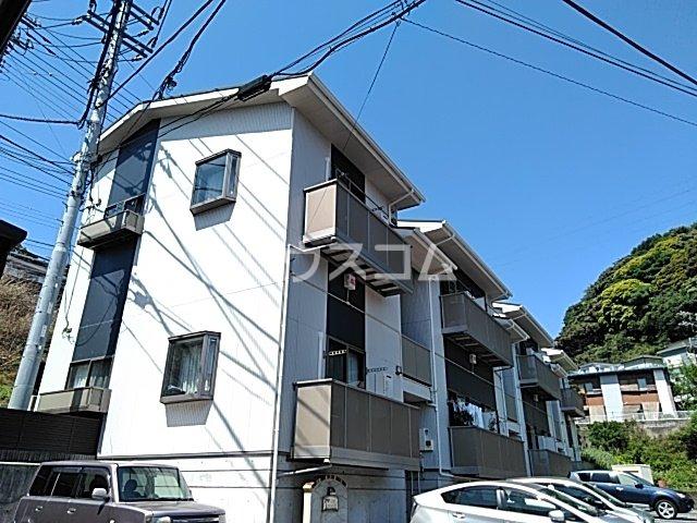 PANARI
