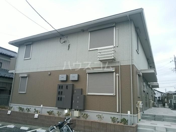 アメジストゆりの木