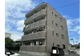グレーシア上脇