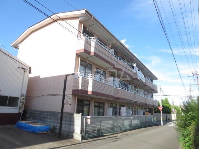 チェルシー