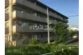 メゾンやしま