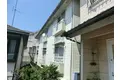 ウッディ6