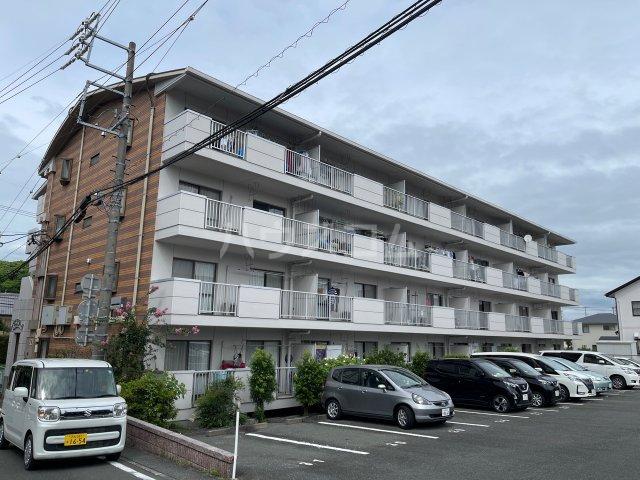 ルイボステー1