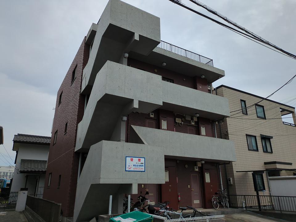 ケリー湘南