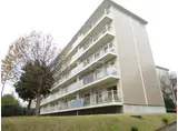 西小中台団地26-503号