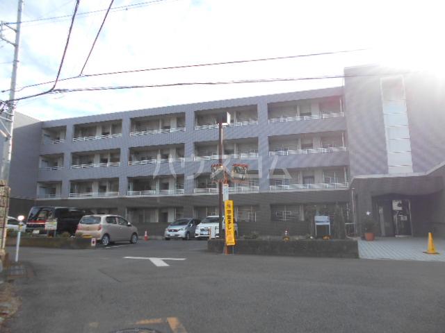フラット大観