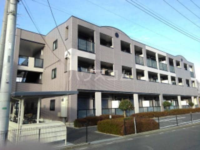 バンブー・ジェンシアン