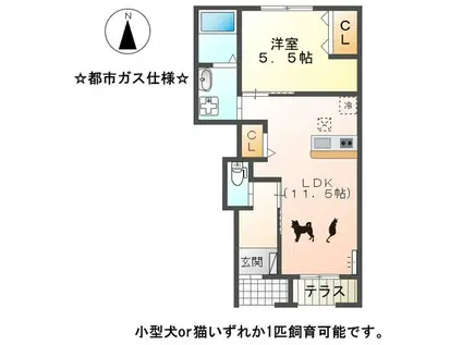 リブ・ルーラルⅢ(1LDK/1階)の間取り写真