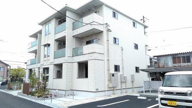 エヴァーグリーン3
