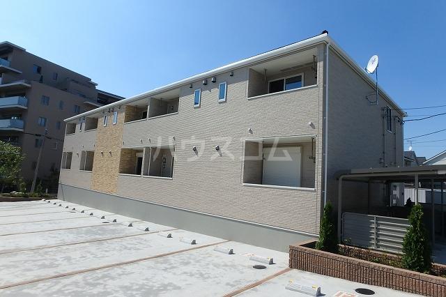 コスモス