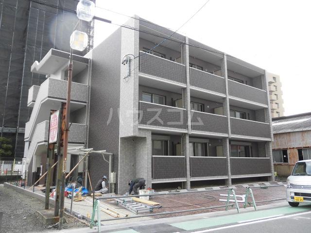 シンシア寿