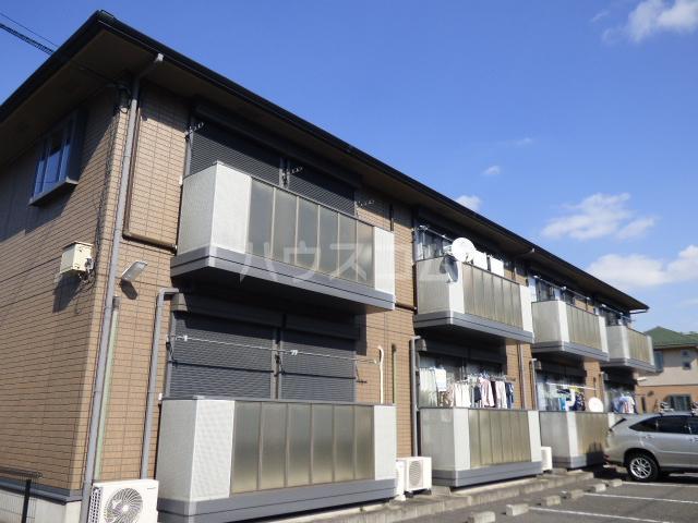 フローラA