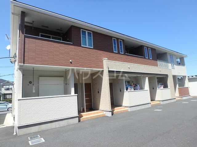 ブライトフラワ-B