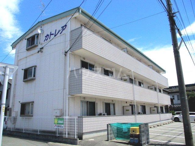 カトレア