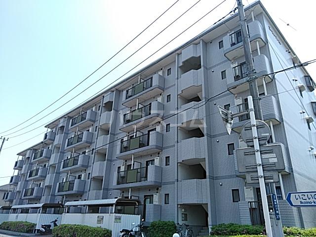 ゴールドクレスト