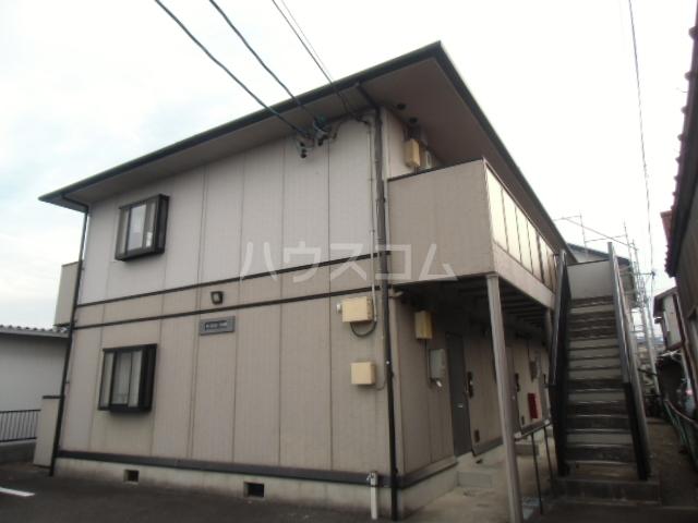 マメゾンクリタ