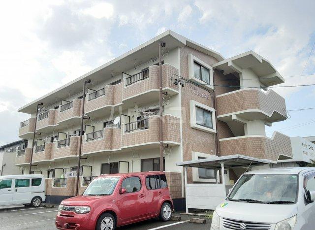 マンションやまももの木