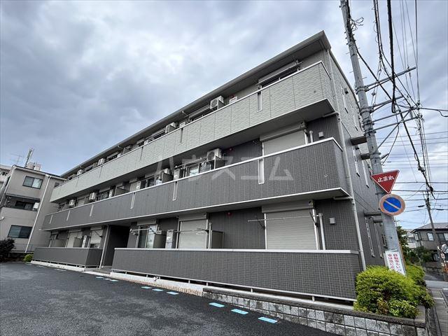 LOBELLIA TORO Ⅰ