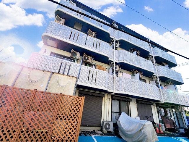 フリージア
