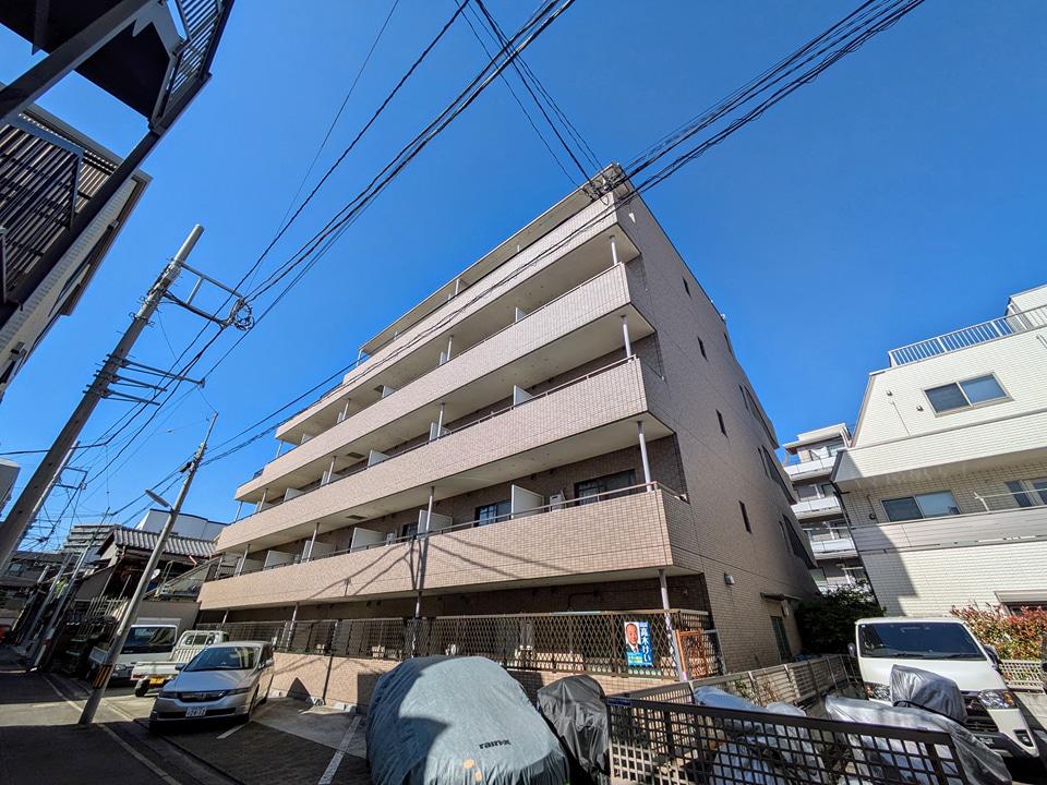 セルサス・スズラン