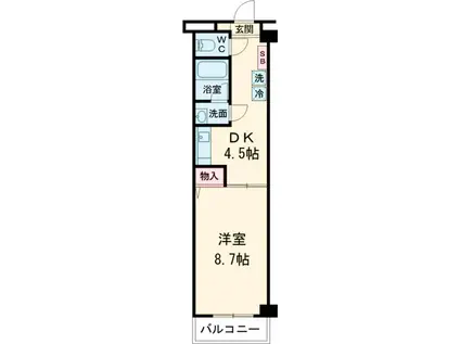 カナリーテラス志村坂上(1DK/3階)の間取り写真