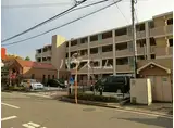 グリシーヌ朝霞