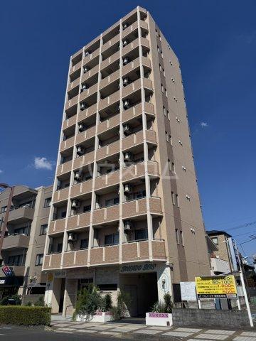 ソレアード・セイス