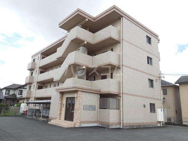 FELICE GATTO YOKOSUKA