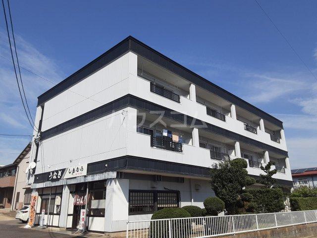 タウニー稲垣