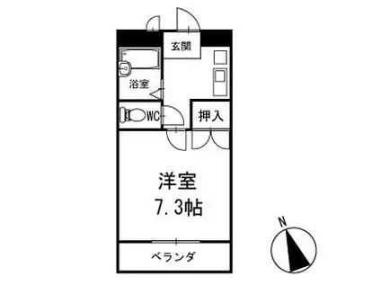 ブリッジテシマ(1K/3階)の間取り写真