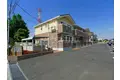 サンフラワーA
