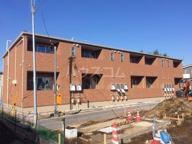 アマリリス